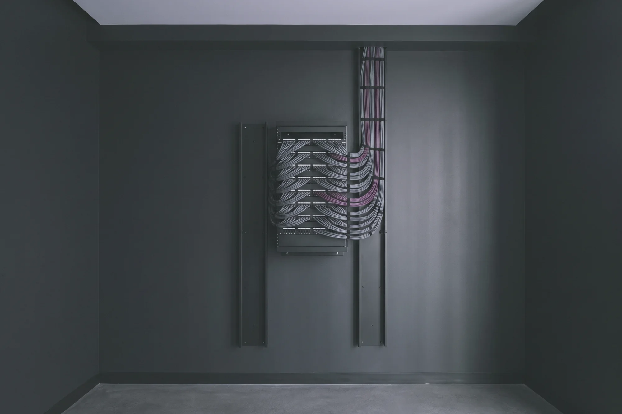 A wall-mounted patch panel has grey and purple network cables running up into a cable tray on a dark wall.